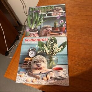 Two Old Wall Calendars “Hedgehogs” 2023 & 2025 Collectors Or Hedgehog Lovers